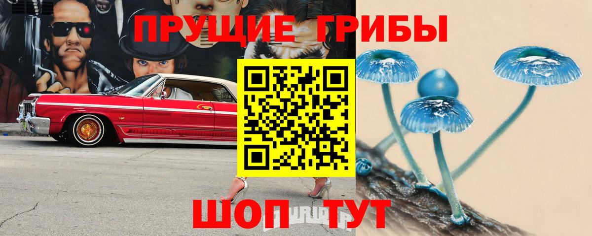 Псилоцибиновые грибы прущие грибы  Вход с VPN  Галлюциногенные грибы Magic Shrooms  Камышин 
